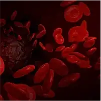 Dolaşımı Artırma